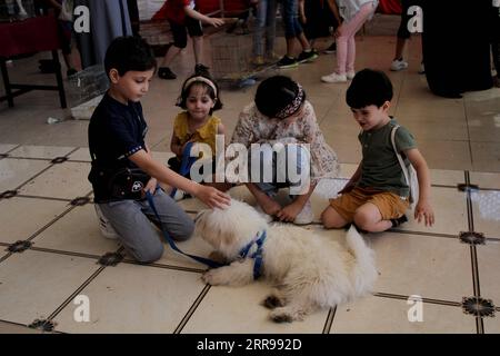 210602 -- GAZA, le 2 juin 2021 -- des enfants palestiniens jouent avec un chien lors d'une exposition pour animaux de compagnie dans la ville de Gaza, le 2 juin 2021. Photo de /Xinhua MIDEAST-GAZA CITY-ANIMAUX-EXHIBITION RizekxAbdeljawad PUBLICATIONxNOTxINxCHN Banque D'Images