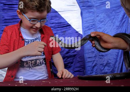 210602 -- GAZA, le 2 juin 2021 -- Un enfant palestinien regarde un serpent lors d'une exposition pour animaux de compagnie dans la ville de Gaza, le 2 juin 2021. Photo de /Xinhua MIDEAST-GAZA CITY-ANIMAUX-EXHIBITION RizekxAbdeljawad PUBLICATIONxNOTxINxCHN Banque D'Images