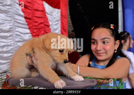 210602 -- GAZA, le 2 juin 2021 -- Un enfant palestinien touche un chien lors d'une exposition pour animaux de compagnie dans la ville de Gaza, le 2 juin 2021. Photo de /Xinhua MIDEAST-GAZA CITY-ANIMAUX-EXHIBITION RizekxAbdeljawad PUBLICATIONxNOTxINxCHN Banque D'Images