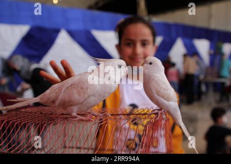 210602 -- GAZA, le 2 juin 2021 -- Un enfant palestinien regarde des oiseaux lors d'une exposition pour animaux de compagnie dans la ville de Gaza, le 2 juin 2021. Photo de /Xinhua MIDEAST-GAZA CITY-ANIMAUX-EXHIBITION RizekxAbdeljawad PUBLICATIONxNOTxINxCHN Banque D'Images