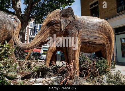 210609 -- LONDRES, le 9 juin 2021 -- une photo prise le 8 juin 2021 montre un troupeau d'éléphants grandeur nature fabriqués à la main à Chelsea, Londres, Grande-Bretagne. L'œuvre d'art publique de 50 éléphants grandeur nature fabriqués à la main est en tournée d'installation au Royaume-Uni pour mettre en évidence notre planète bondée, l'effet de l'empiètement humain sur les espaces sauvages et les façons inspirantes dont nous pouvons coexister avec tous les autres êtres vivants. BRETAGNE-LONDRES-SCULPTURE-ÉLÉPHANTS-COEXISTENCE HanxYan PUBLICATIONxNOTxINxCHN Banque D'Images