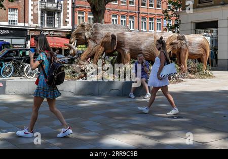 210609 -- LONDRES, le 9 juin 2021 -- une photo prise le 8 juin 2021 montre des gens marchant devant un troupeau d'éléphants artisanaux à Chelsea, Londres, Grande-Bretagne. L'œuvre d'art publique de 50 éléphants grandeur nature fabriqués à la main est en tournée d'installation au Royaume-Uni pour mettre en évidence notre planète bondée, l'effet de l'empiètement humain sur les espaces sauvages et les façons inspirantes dont nous pouvons coexister avec tous les autres êtres vivants. BRETAGNE-LONDRES-SCULPTURE-ÉLÉPHANTS-COEXISTENCE HanxYan PUBLICATIONxNOTxINxCHN Banque D'Images