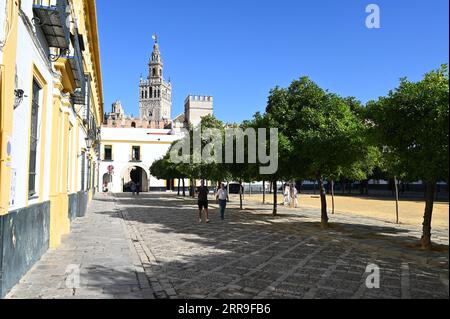 Cour intérieure du palais de l'Alcazar à Séville. Banque D'Images