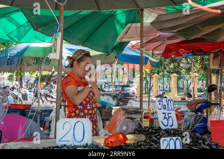 Instantané du marché Mahachai au fleuve Chao Phraya dans les environs immédiats de Bangkok en Thaïlande Asie Banque D'Images