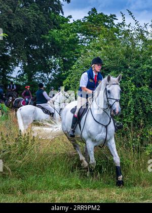 Les cavaliers passionnés naviguent gracieusement dans une soirée d'été ensoleillée, sautant par-dessus une barrière de bois à travers un trou de haie Banque D'Images