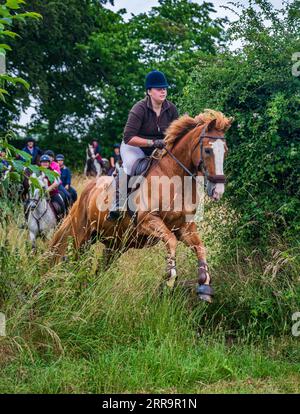 Les cavaliers passionnés naviguent gracieusement dans une soirée d'été ensoleillée, sautant par-dessus une barrière de bois à travers un trou de haie Banque D'Images