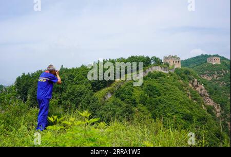 210711 -- QINHUANGDAO, July 11, 2021 -- Zhang Heshan takes pictures of the scenery of the Chengziyu Great Wall in Qinhuangdao, north China s Hebei Province, July 7, 2021. Zhang Heshan, 66, is a villager of Chengziyu, where lies a section of China s Great Wall dating back to Ming Dynasty 1368-1644. Since 1978, Zhang has been a protector of the Great Wall. Over the years, he patrolled the wild Great Wall near his village and never been held back by various challenges, such as blizzards, rainstorms, wild bees and snakes. He has persuaded the herdsmen to leave, scared away the brick-stealers, stop Stock Photo