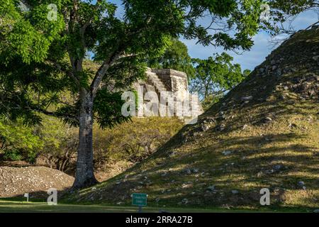 Le Temple des piliers de maçonnerie avec le monticule de la structure A5 dans les ruines mayas de la réserve archéologique Altun Ha, Belize. Banque D'Images