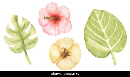 Ensemble d'illustrations de feuilles et de fleurs tropicales aquarelle Banque D'Images