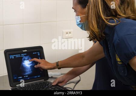 210723 -- SAINT-AIGNAN-SUR-CHER FRANCE, le 23 juillet 2021 -- des membres du personnel effectuent une échographie du panda géant féminin Huan Huan à Saint-Aignan-sur-cher, dans le centre de la France, le 23 juillet 2021. Huan Huan, un panda géant à , attend des jumeaux et la naissance des petits est prévue pour fin juillet ou début août, a annoncé le zoo vendredi. /Document via Xinhua FRANCE-SAINT-AIGNAN-SUR-CHER--GÉANT PANDA-HUAN-JUMEAUX-ATTENDANT BeauvalxZoo PUBLICATIONxNOTxINxCHN Banque D'Images