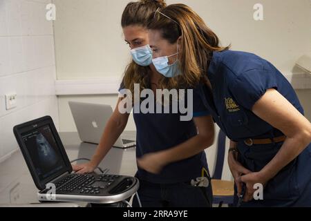 210723 -- SAINT-AIGNAN-SUR-CHER FRANCE, le 23 juillet 2021 -- des membres du personnel effectuent une échographie du panda géant féminin Huan Huan à Saint-Aignan-sur-cher, dans le centre de la France, le 23 juillet 2021. Huan Huan, un panda géant à , attend des jumeaux et la naissance des petits est prévue pour fin juillet ou début août, a annoncé le zoo vendredi. /Document via Xinhua FRANCE-SAINT-AIGNAN-SUR-CHER--GÉANT PANDA-HUAN-JUMEAUX-ATTENDANT BeauvalxZoo PUBLICATIONxNOTxINxCHN Banque D'Images