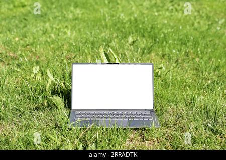 Ordinateur portable avec maquette d'écran blanc dans l'herbe sur une prairie, concept d'entreprise verte, mode de vie durable et protection de l'environnement, et re Banque D'Images