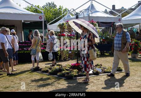 Les amateurs d'horticulture apprécient les températures chaudes au salon floral annuel RHS Wisley, Surrey, Angleterre, Royaume-Uni. 07 septembre 2023. Crédit : Jeff Gilbert/Alamy Live News Banque D'Images