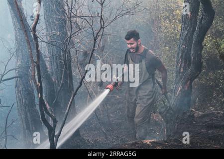 210729 -- AKKAR LIBAN, le 29 juillet 2021 -- Un membre de la Défense civile libanaise combat un feu de forêt à Akkar, dans le nord du Liban, le 29 juillet 2021. L incendie massif qui s est déclaré dans le village de Qoubaiyat, au nord du Liban, continue de faire rage dans la région pour la deuxième journée, a rapporté jeudi un média local. Photo de /Xinhua LEBANON-AKKAR-FOREST FIRE Khaled PUBLICATIONxNOTxINxCHN Banque D'Images