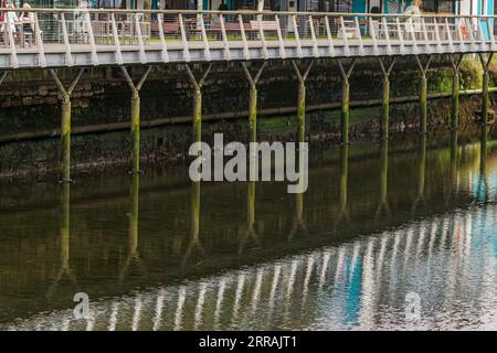Postes remplis d'algues sur la promenade sur la rivière Liffey à Dublin, Irlande Banque D'Images