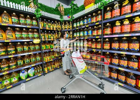 210809 -- QINGZHOU, 9 août 2021 -- Un client achète de l'huile comestible dans un supermarché de Qingzhou, dans la province du Shandong de l'est de la Chine, 9 août 2021. L indice des prix à la consommation de la Chine IPC, l une des principales jauges de l inflation, a augmenté de 1 pour cent en année en juillet, les données du Bureau national des statistiques NBS ont montré lundi. Ce chiffre était inférieur à la croissance de 1,1 % enregistrée en juin en glissement annuel. Photo de /Xinhua CHINE-DONNÉES SUR L'INDICE DES PRIX À LA CONSOMMATION CN WangxJilin PUBLICATIONxNOTxINxCHN Banque D'Images