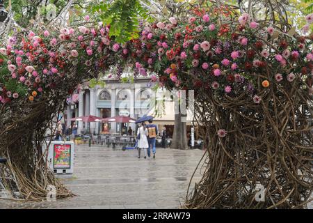 210817 -- BRUXELLES, le 17 août 2021 -- Une installation florale est vue dans le centre de Bruxelles, Belgique, le 17 août 2021. Un événement floral Brussels in Bloom a eu lieu du 15 août au 5 septembre cette année dans les rues autour de la Grand-place de Bruxelles, alors que le tapis de fleurs a été déplacé au 2022 août. BELGIQUE-BRUXELLES-BRUXELLES EN FLEUR ZhengxHuansong PUBLICATIONxNOTxINxCHN Banque D'Images