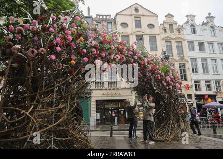 210817 -- BRUXELLES, le 17 août 2021 -- des personnes prennent des photos d'une installation florale dans le centre de Bruxelles, Belgique, le 17 août 2021. Un événement floral Brussels in Bloom a eu lieu du 15 août au 5 septembre cette année dans les rues autour de la Grand-place de Bruxelles, alors que le tapis de fleurs a été déplacé au 2022 août. BELGIQUE-BRUXELLES-BRUXELLES EN FLEUR ZhengxHuansong PUBLICATIONxNOTxINxCHN Banque D'Images