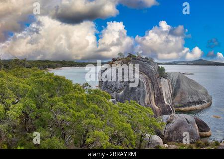 Paysage côtier avec d'énormes roches granitiques, une forêt d'eucalyptus et un ciel nuageux dans la réserve naturelle de Two Peoples Bay, près d'Albany, Australie occidentale. Banque D'Images