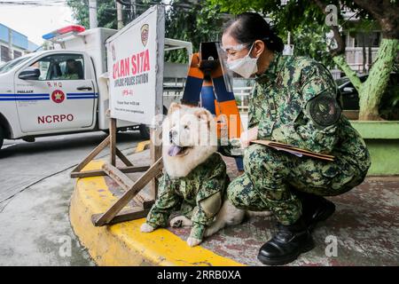 210824 -- MANILLE, le 24 août 2021 -- Fabio, un chien Chow Chow surnommé puppy Officer 1 en faux uniforme de police, est accompagné par un membre de la police nationale philippine à un poste de contrôle COVID-19 à Manille, aux Philippines, le 24 août 2021. Fabio, six mois, appartient à la policière Mary Ann Hernandez, qui permet à son chien de rester près du point de contrôle COVID-19 pour soulager le stress ressenti par les résidents et les passants pendant la pandémie. PHILIPPINES-MANILLE-POLICE-CHIEN-FABIO RouellexUmali PUBLICATIONxNOTxINxCHN Banque D'Images