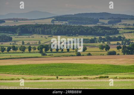 Paysage rural de Basse-Silésie à la fin de l'été Banque D'Images