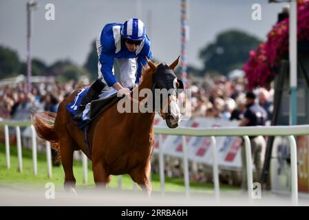 Cheval Ehraz et jockey Ryan Moore Banque D'Images