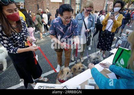 210912 -- VANCOUVER, le 12 septembre 2021 -- les chiens goûtent des échantillons de nourriture à un kiosque de vendeur lors de l'événement PET-A-Palooza à Vancouver, Canada, le 12 septembre 2021. L’événement annuel pour animaux de compagnie est revenu cette année après avoir été annulé en 2020 en raison de la pandémie COVID-19, qui a amené plus d’un millier de propriétaires de chiens à participer et à partager la joie avec leurs animaux de compagnie à travers diverses activités. Photo de /Xinhua CANADA-VANCOUVER-PET-EVENT LiangxSen PUBLICATIONxNOTxINxCHN Banque D'Images