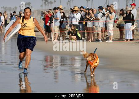 210926 -- ORANGE COUNTY, 26 septembre 2021 -- Un chien est vu lors de la compétition annuelle Surf City Surf Dog à Huntington Beach, Orange County, Californie, États-Unis, le 25 septembre 2021. U.S.-CALIFORNIA-SURFING DOGS GaoxShan PUBLICATIONxNOTxINxCHN Banque D'Images