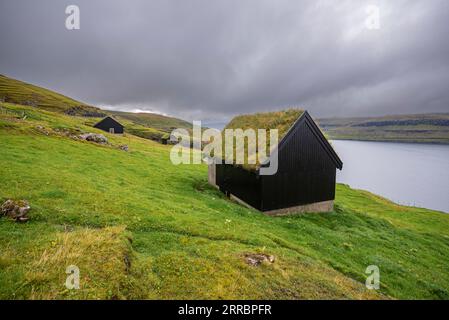 L'herbe pousse librement sur les toits des bâtiments agricoles sur l'île de Streymoy dans les îles Féroé. Banque D'Images