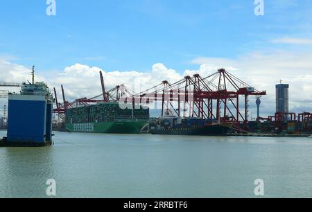 211006 -- COLOMBO, le 6 octobre 2021 Xinhua -- la photo prise le 6 octobre 2021 montre le plus grand porte-conteneurs au monde, Ace, au port de Colombo, dans la capitale sri-lankaise. Le plus grand navire porte-conteneurs au monde jamais Ace est arrivé au port de Colombo dans la capitale sri lankaise tard mardi, a déclaré la Sri Lanka ports Authority SLPA. Selon les responsables de la SLPA, le navire est arrivé pour décharger 1 600 EVP au terminal international de conteneurs CICT de Colombo dans le port. Le navire naviguant sous le pavillon du Panama est d'environ 400 mètres de longueur. Il pèse environ 235 000 tonnes et peut transporter 23 992 EVP. S Banque D'Images