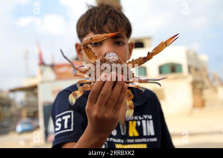 211010 -- VILLE DE GAZA, 10 octobre 2021 -- Un garçon présente un crabe tout juste attrapé au camp de réfugiés d'Al-Shati dans la ville de Gaza, le 5 octobre 2021. Chaque jour, des milliers de Palestiniens, y compris des pêcheurs et des amateurs de pêche, se précipitent vers la mer de Gaza, jetant leurs filets à l’eau pour attraper des crabes. POUR ALLER AVEC Feature : la saison de pêche au crabe offre des emplois temporaires aux Gazaouis photo par /Xinhua MIDEAST-GAZA VILLE-PÊCHE AU CRABE-EMPLOIS RizekxAbdeljawad PUBLICATIONxNOTxINxCHN Banque D'Images