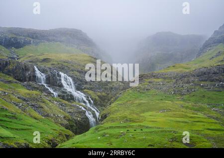 Des cascades d'eau descendent sur une pente au-dessus du village de Tjørnuvik dans les îles Féroé, avec des moutons qui paissent au premier plan. Banque D'Images