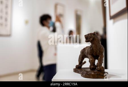 211012 -- KUNMING, le 12 octobre 2021 -- une exposition est présentée lors d'une exposition d'art mettant en valeur la biodiversité à Kunming, dans la province du Yunnan du sud-ouest de la Chine, le 12 octobre 2021. L'exposition dure jusqu'au 9 novembre. COP15CHINA-YUNNAN-KUNMING-COP15-ART EXPOSITION CN WANGXGUANSEN PUBLICATIONXNOTXINXCHN Banque D'Images