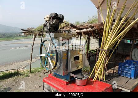 Presse-canne à sucre au Pakistan Banque D'Images