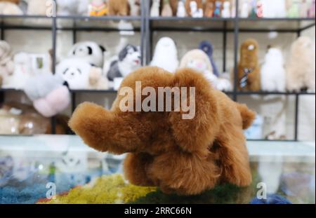 211020 -- SHANGHAI, 20 octobre 2021 -- une photo prise le 15 octobre 2021 montre un jouet en peluche en forme d'alpaga exposé au bureau de Ma Yuxia dans le Pavillon d'importation du Pérou du Greenland Global Commodity Trading Hub à Shanghai, dans l'est de la Chine. Lors de la première China International Import Expo CIIE, Ma Yuxia, une femme d'affaires chinoise basée en Amérique du Sud, a introduit sur le marché chinois les alpagas en peluche fabriqués par Oncle Mamani, un artisan péruvien. Ma et ses partenaires péruviens ont loué un stand de seulement 9 mètres carrés à la première CIIE pour exposer et promouvoir ces jouets et autres traditionnels Banque D'Images