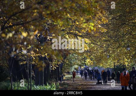 211025 -- VARSOVIE, 25 octobre 2021 -- une photo prise le 24 octobre 2021 montre une vue du parc des bains royaux à Varsovie, en Pologne. Str/Xinhua POLOGNE-VARSOVIE-AUTOMNE VUES Stringer PUBLICATIONxNOTxINxCHN Banque D'Images