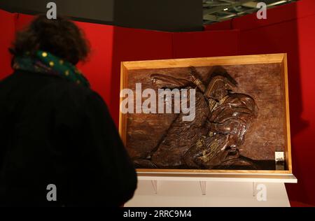 211028 -- PARIS, le 28 octobre 2021 -- Un visiteur voit une œuvre d'art réalisée avec du chocolat lors de la soirée d'inauguration de la 26e Foire du chocolat de Paris à l'Expo Versailles à Paris, France, le 27 octobre 2021. Le 26e salon du chocolat aura lieu du 28 octobre au 1 novembre. FRANCE-PARIS-SALON DU CHOCOLAT GaoxJing PUBLICATIONxNOTxINxCHN Banque D'Images