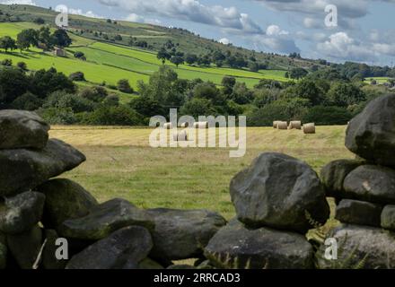 Vue des balles de foin à travers un mur de pierre sèche. Baildon Moor dans le Yorkshire est vu au loin. Banque D'Images