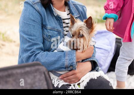 Mignon petite fille et sa mère avec chien Yorkshire Terrier à l'extérieur Banque D'Images