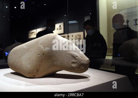 211030 -- HEFEI, 30 octobre 2021 -- des citoyens voient un jadware en forme de cochon fouillé sur le site des reliques de Liangjiatan, au musée Anhui à Hefei, province de l'Anhui dans l'est de la Chine, le 30 octobre 2021. Beijing a dévoilé les médailles des Jeux olympiques et paralympiques d’hiver de 2022 le 26 octobre. Nommées Tongxin , signifiant ensemble comme une, les médailles comportent cinq anneaux concentriques, et leur conception arrière a été inspirée par le jadeware Bi découvert sur le site des reliques de Lingjiatan dans la province d'Anhui. Datant d'il y a environ 5 300 à 5 800 ans, Lingjiatan est connu pour la découverte de plus de 1 000 pièces de jad Banque D'Images