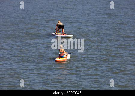 Les couples apprécient le stand up paddle board à Jackson's Bay, Barry Island, le jour le plus chaud de l'année - 2023 septembre Banque D'Images