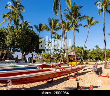 Hawaiian Racing Outrigger canoës au Kai 'Opua Canoe Club sur Kailua Bay, Kailua-Kona, Hawaii Island, Hawaii, USA Banque D'Images