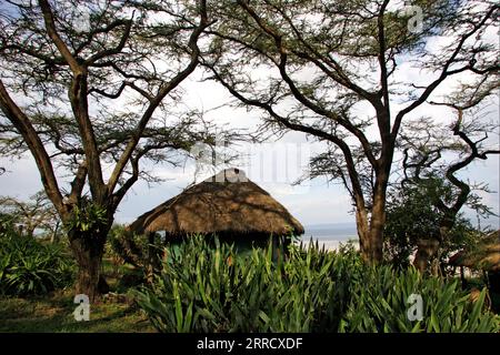 Njemps Femme Ilchamus (parfois orthographié Iltiamus, également connu sous le nom de Njemps) dans le lac Baringo Kenya Banque D'Images