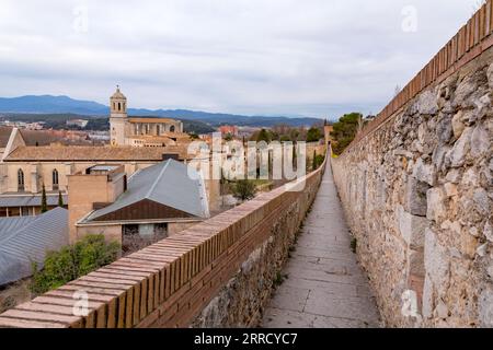 La cathédrale de Gérone, également connue sous le nom de cathédrale Sainte-Marie de Gérone, est une église catholique romaine située à Gérone, en Catalogne, en Espagne. Banque D'Images