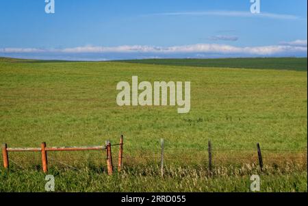 Comté de Rocky View Alberta Canada Banque D'Images