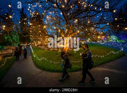 211127 -- VANCOUVER, le 27 novembre 2021 -- les gens regardent les décorations lumineuses du VanDusen Botanical Garden à Vancouver, Colombie-Britannique, Canada, le 26 novembre 2021. La Fête des Lumières est revenue vendredi soir après avoir été reportée l’année dernière en raison de la pandémie de COVID-19. Plus d'un million de lumières sont vues dans les 15 hectares du jardin botanique VanDusen. Photo de /Xinhua CANADA-VANCOUVER-FESTIVAL DES LUMIÈRES LiangxSen PUBLICATIONxNOTxINxCHN Banque D'Images