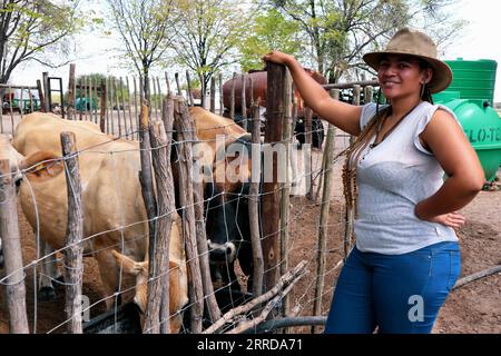 211213 -- MAUN BOTSWANA, le 13 décembre 2021 -- Nonny Wright, le propriétaire de 32 ans d'une entreprise agricole commerciale appelée Lopey Inc, est vu à la ferme Sereledi à Polokabatho, à 7 km de Maun, Botswana, le 12 novembre 2021. Pendant la sécheresse de 2019, j'ai perdu 85 pour cent de mes vaches laitières, révèle Wright. Photo de /Xinhua TO GO WITH Feature : une jeune agricultrice laitière au Botswana s’efforce de se remettre de la sécheresse BOTSWANA-MAUN-DRY-AGRICULTRICE LAITIÈRE SharonxTshipa PUBLICATIONxNOTxINxCHN Banque D'Images