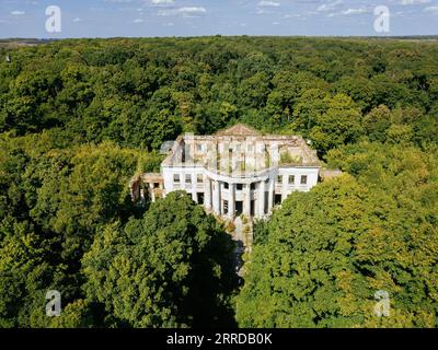 Vue aérienne d'un vieux manoir abandonné envahi par la végétation en ruine. Ancien domaine des Golitsyns à Zubrilovka. Banque D'Images