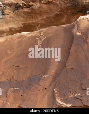 pétroglyphes anciens avec des chevaux, des moutons à grosse corne, des chèvres remarquablement conservés en grès rouge. Banque D'Images