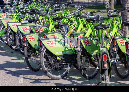 Une photo de plusieurs vélos MOL Bubi à Budapest. Banque D'Images